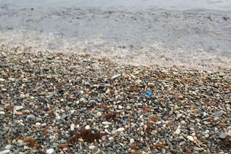 На диком пляже в Туапсе произошел разлив нефти