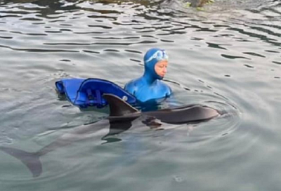 Истощенного дельфина выхаживают волонтеры на пляже Сочи 