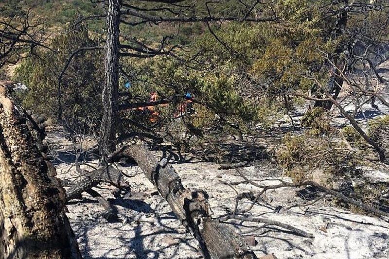 Костер туристов стал причиной пожара в заповеднике «Утриш» в Анапе