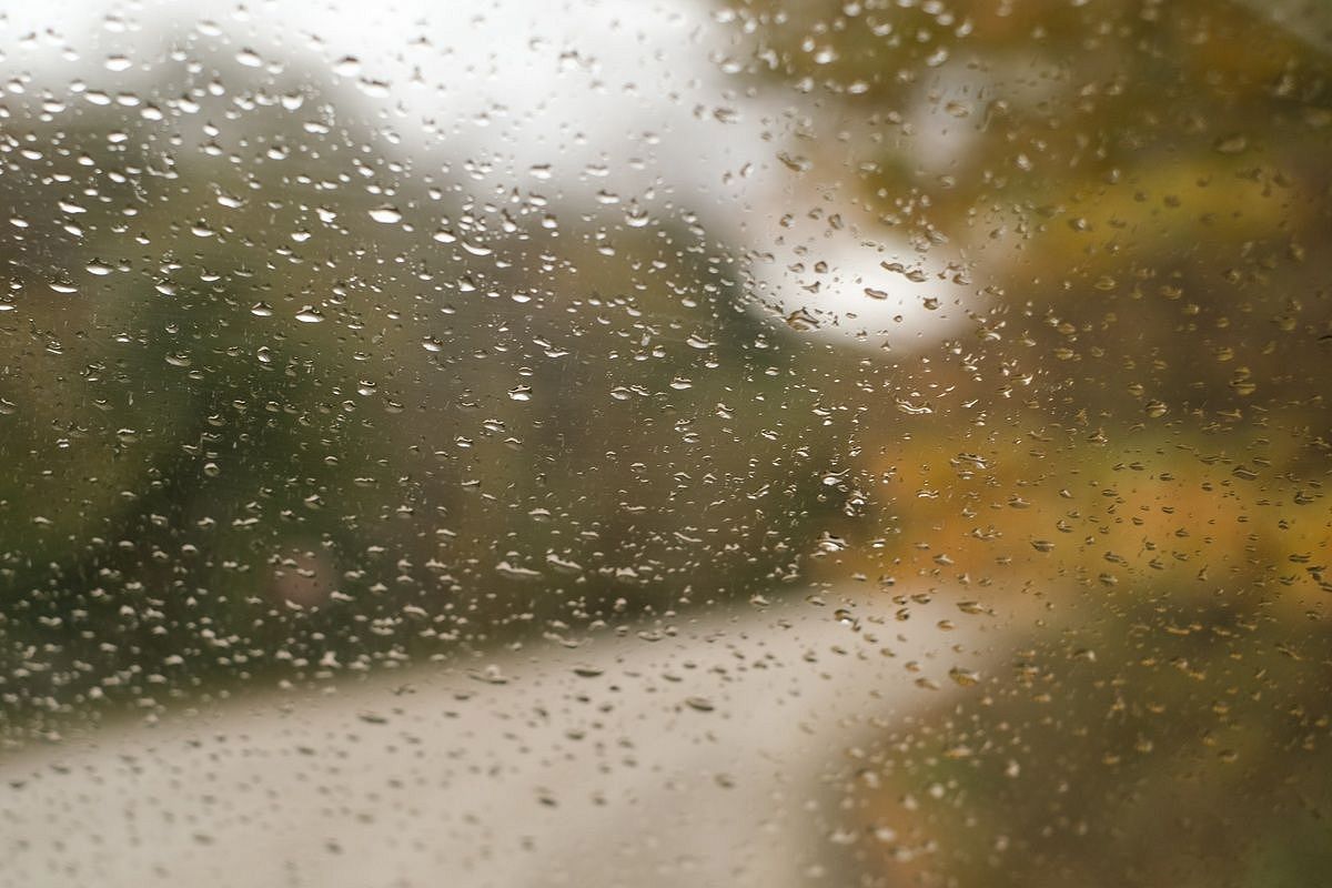 Далекий циклон дотянется до Краснодарского края: холодные дожди продолжатся