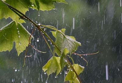 Гидрометцентр России назвал причину грядущей непогоды в Краснодарском крае