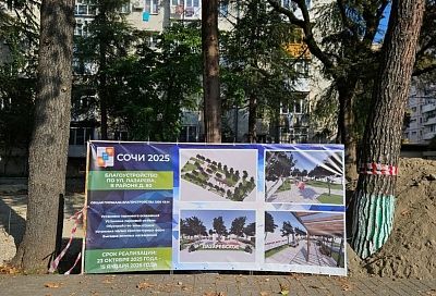 Новый сквер откроют в Сочи в январе 2026 года