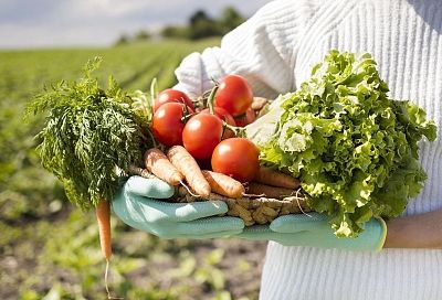 Бросаю семена этих культур в июле — и отдыхаю, пока они растут как сумасшедшие, а заготовки делаем ваннами