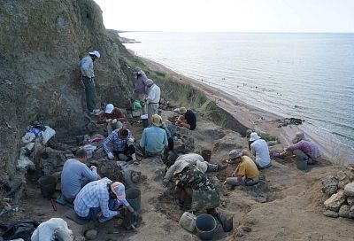 Кости древних гигантов на Тамани: раскопки на берегу Азовского моря в Краснодарском крае провели палеонтологи