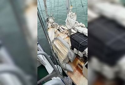 Гражданин США осужден на 5 лет за контрабанду оружия и боеприпасов на прогулочной яхте в Сочи