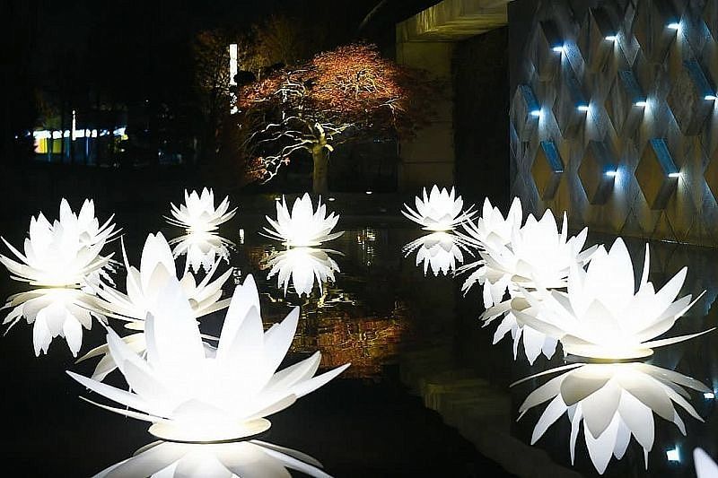 Светящиеся лотосы устанавливают в парке «Краснодар»