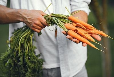 Не выбрасывайте морковную ботву. Это сокровище полезных веществ