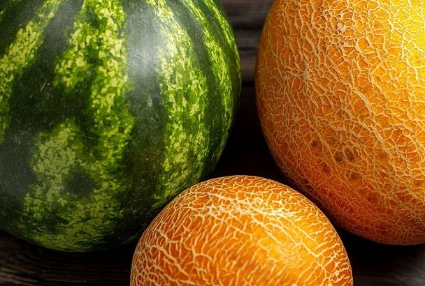 Арбузы и дыни подорожали на 26–31% за год