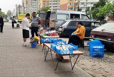 С начала года в Краснодарском крае составили более 1,3 тысячи протоколов за незаконную торговлю