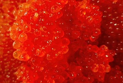 В Крыму к Новому году подешевела красная икра