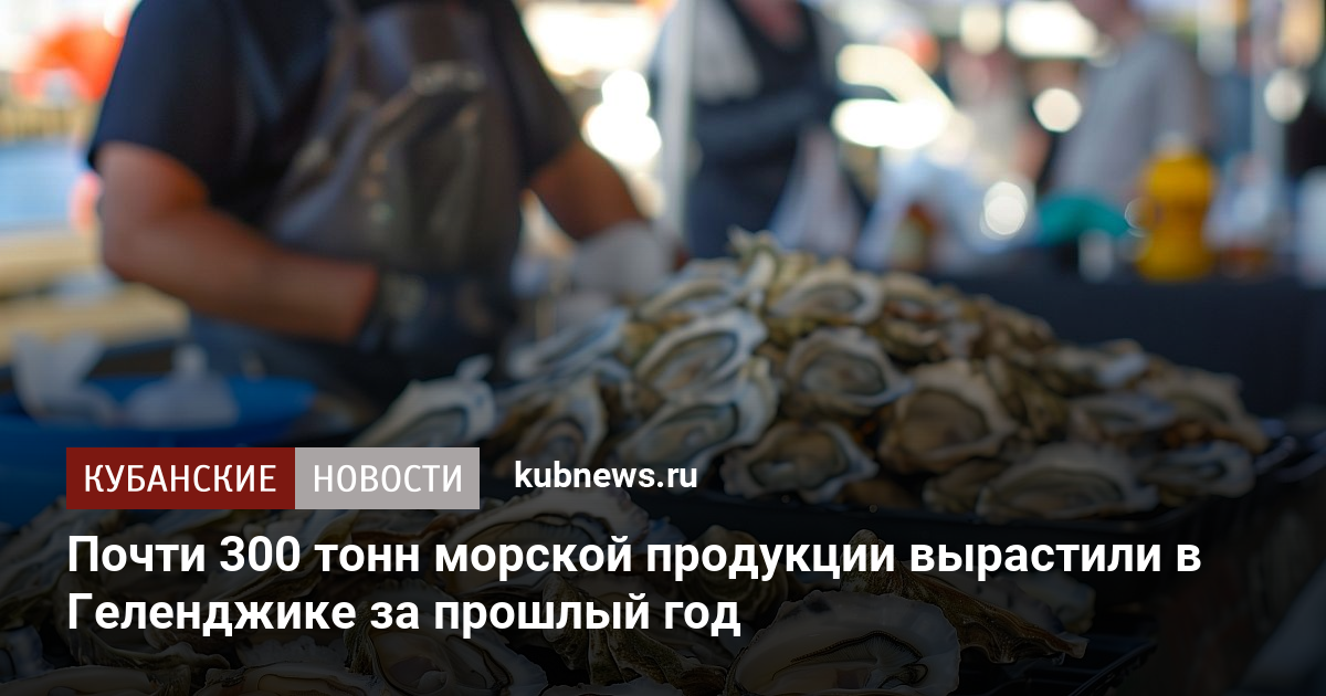 Почти 300 тонн морской продукции вырастили в Геленджике за прошлый год