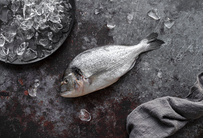 Российский импорт рыбы из Турции в январе-феврале вырос на 21%