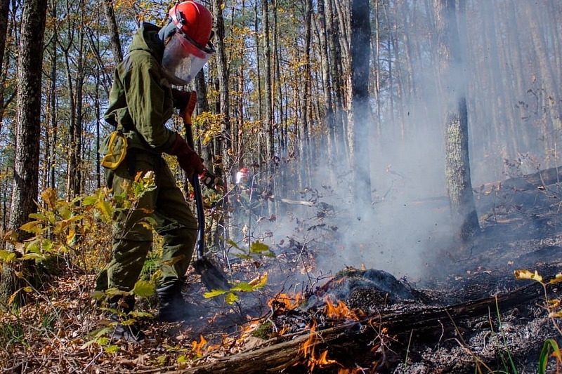 В Краснодарском крае тушат пять лесных пожаров