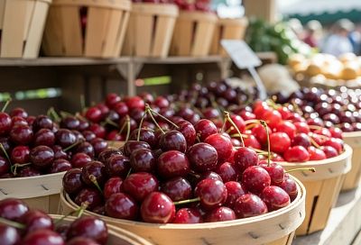 Как выбрать спелую черешню и вишню: секреты качественных ягод