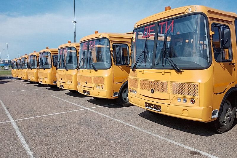 За последние пять лет автопарк школьных автобусов на Кубани обновили на 90%