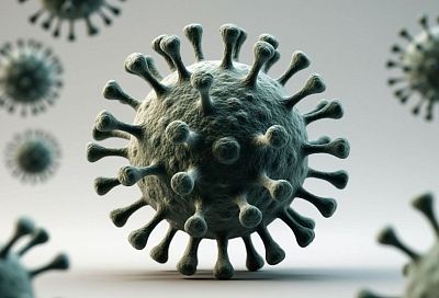 Смертность до 75%: почему вирус Нипах опаснее коронавируса