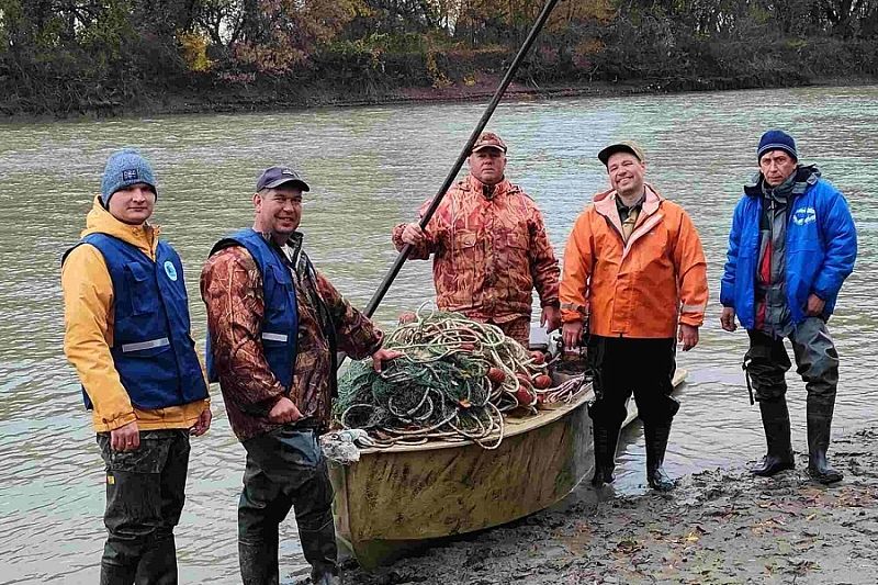 Ученые изучили популяцию пиленгаса и других промысловых рыб в реке Протока Краснодарского края