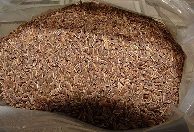 Чистим сосуды семенами укропа с валерианой заранее: всегда ясная голова и давление в норме