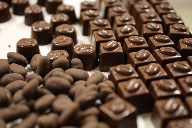 В Краснодарском крае в 2019 году построят шоколадную фабрику