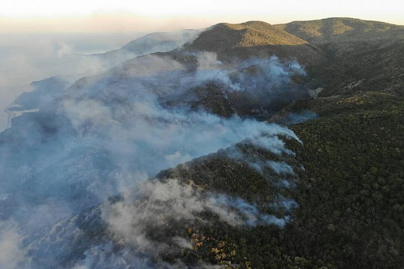 Площадь, пройденная огнем в лесной зоне Анапы, увеличилась до 130 га