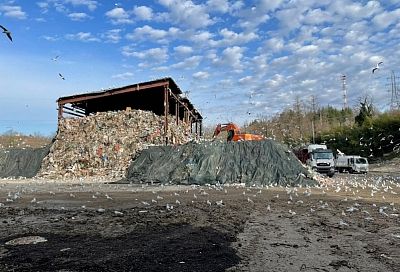 Оператор вывез 80% отходов с перегрузочной станции Сочи