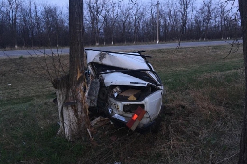 В Краснодарском крае ВАЗ-2107 врезался в дерево. Погиб водитель
