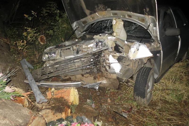 В Краснодарском крае пьяная женщина за рулем автомобиля с тремя детьми врезалась в дерево
