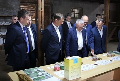 Селекционно-опытная станция сахарной свеклы из Гулькевичского района планирует увеличить производство семян