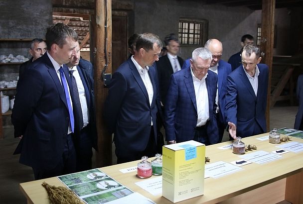 Селекционно-опытная станция сахарной свеклы из Гулькевичского района планирует увеличить производство семян