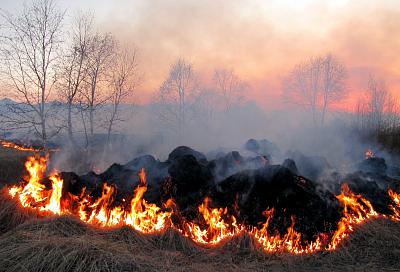 В пригороде Ростова горят поля с неубранной пшеницей