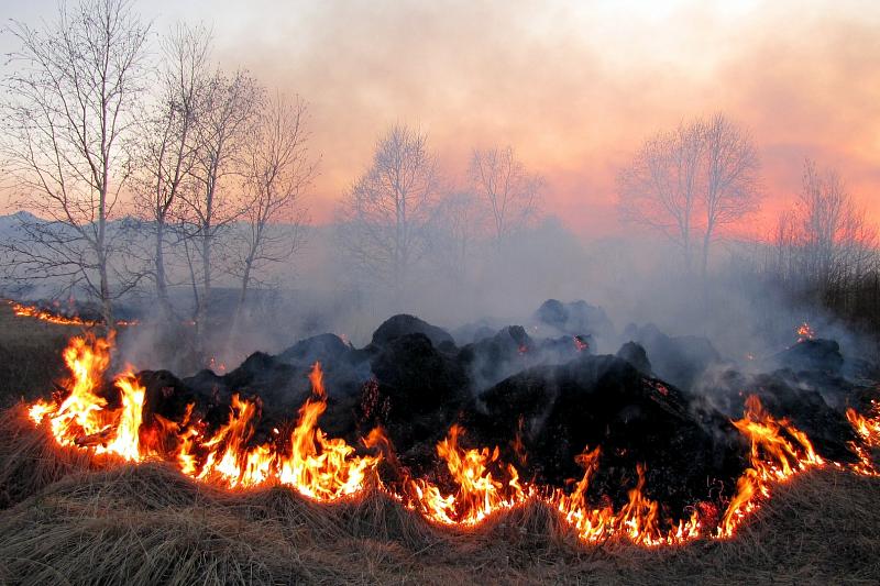В пригороде Ростова горят поля с неубранной пшеницей