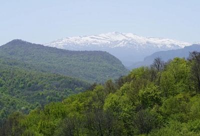 Леса Краснодарского края запрещено посещать на транспорте до сентября