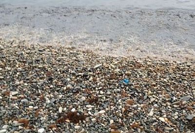 На побережье в Туапсе продолжают находить загрязнение после разлива нефти