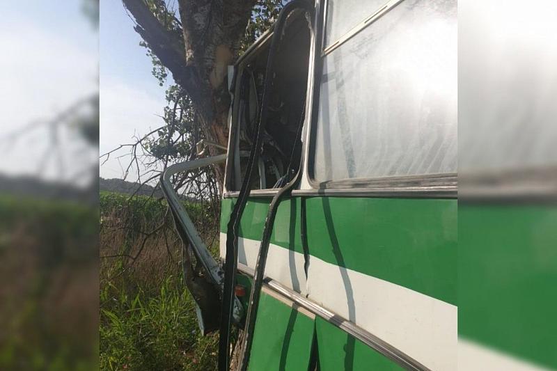 В Краснодарском крае вахтовый автобус врезался в дерево. Водитель погиб