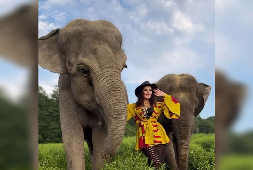 И в Таиланд можно не ехать. «Мисс Вселенная» Оксана Федорова опубликовала видео со слонами в Сочи