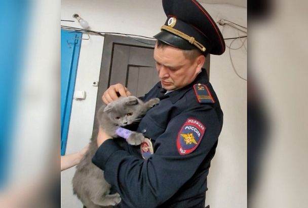 На Кубани полицейский спас кота во время пожара в пятиэтажке
