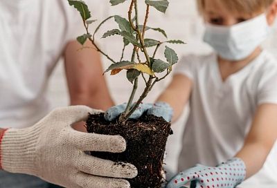 Как пересадить купленное растение, чтобы оно радовало долгие годы. Гайд для новичков