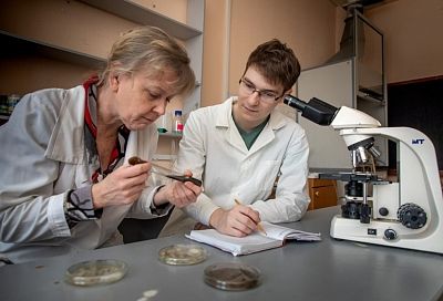 Ученые из Нижнего Новгорода создали грибные биоудобрения