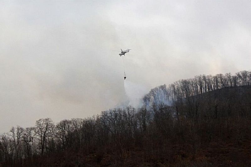 Крупный лесной пожар в Сочи почти ликвидирован