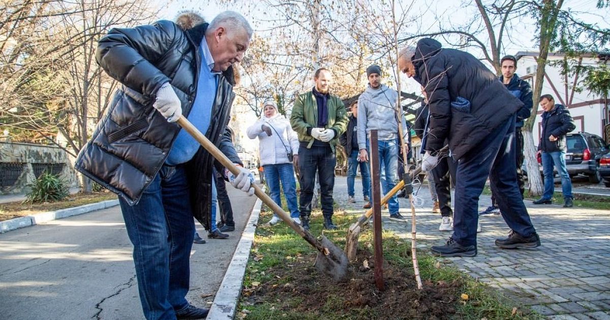 Моют деревья. Зеленстрой Анапа. Посадка новых деревьев в городе. Массовая посадка деревьев. Витязево высадка деревьев.