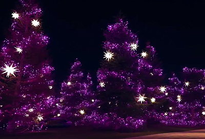 Новогоднюю иллюминацию начали разбирать в парке «Краснодар»