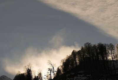 Краснокнижного черного аиста впервые заметили в горах под Сочи
