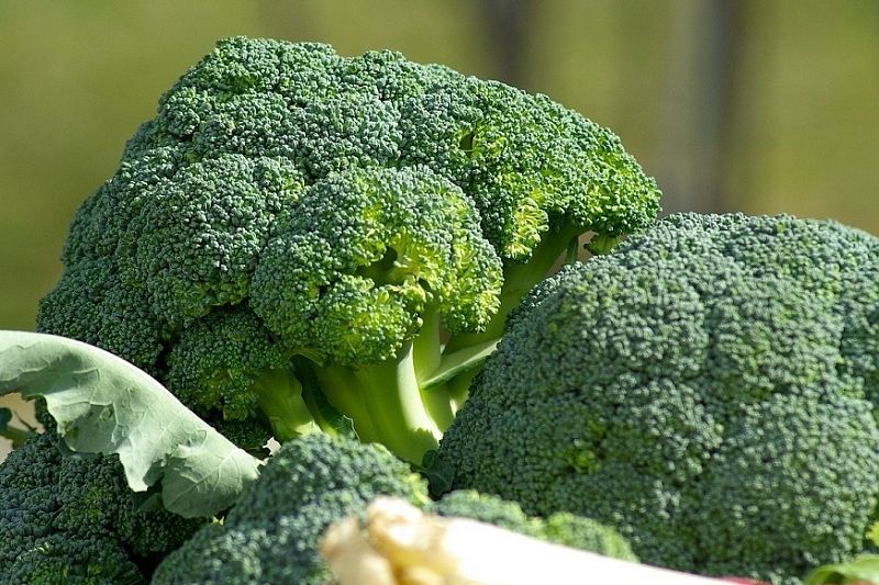 Диетолог назвал пять веских причин приготовить на ужин брокколи