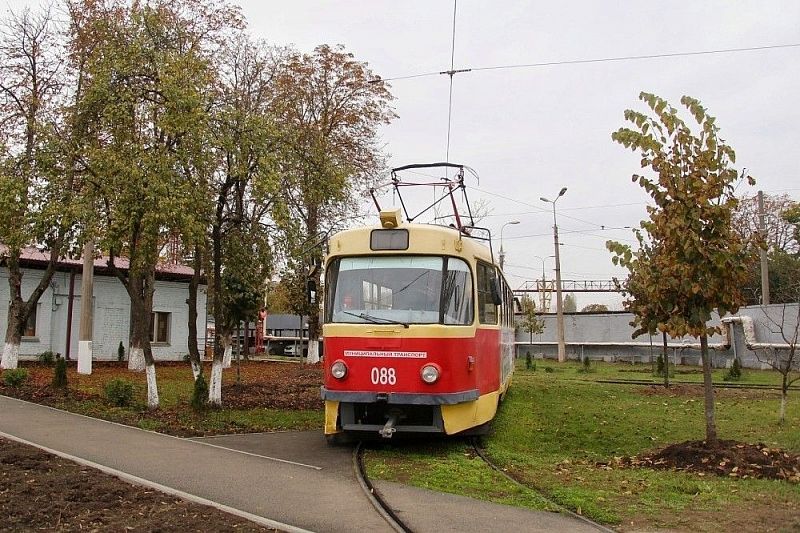 64 липы с улицы Московской пересадили в Западное трамвайное депо Краснодара