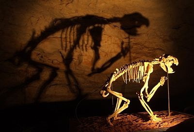 По следам древних ящеров: какие динозавры водились в России
