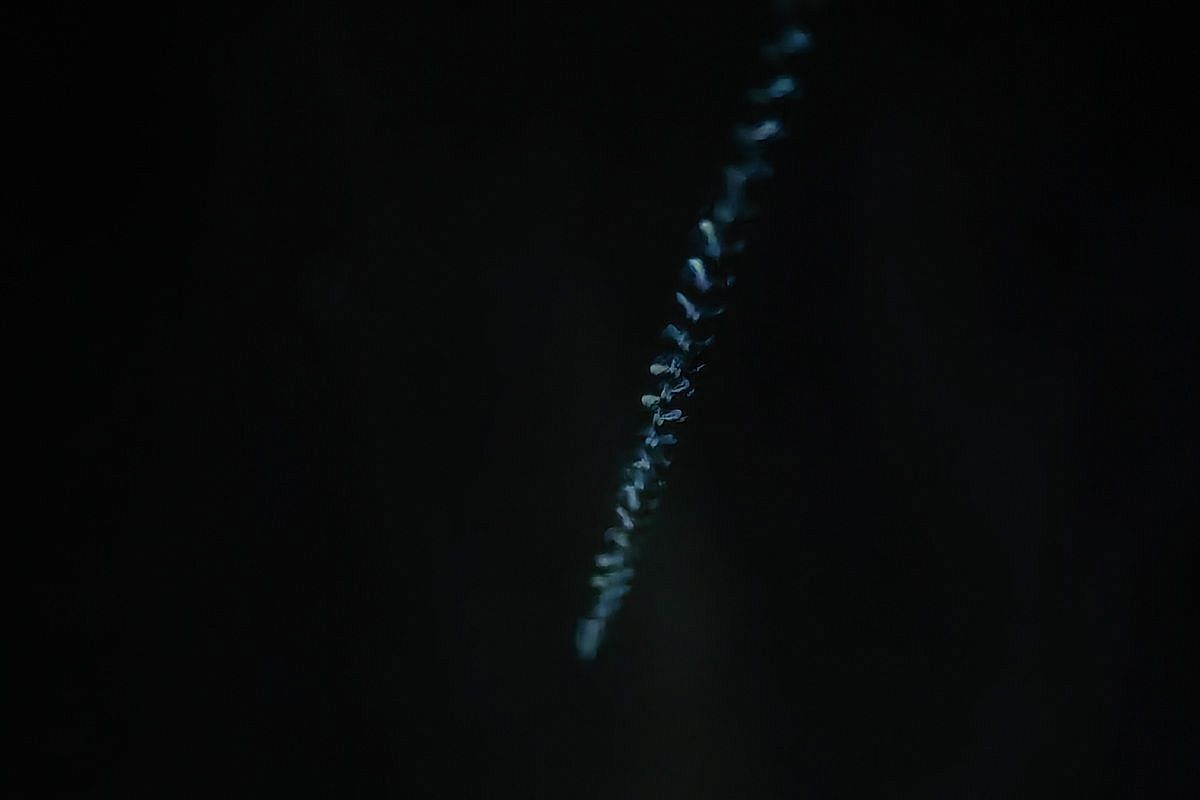 ВКС России сбили истребитель Су-27 воздушных сил Украины