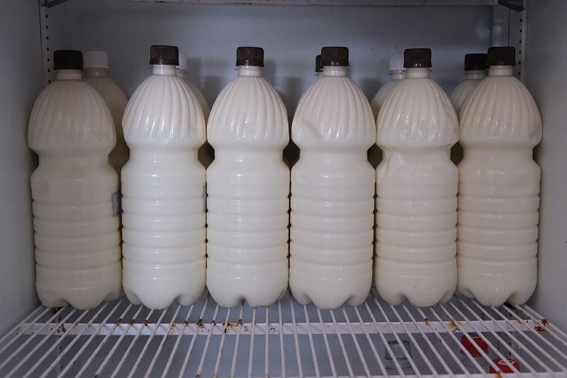  В фермерских лавках всегда можно купить свежее и полезное молоко.