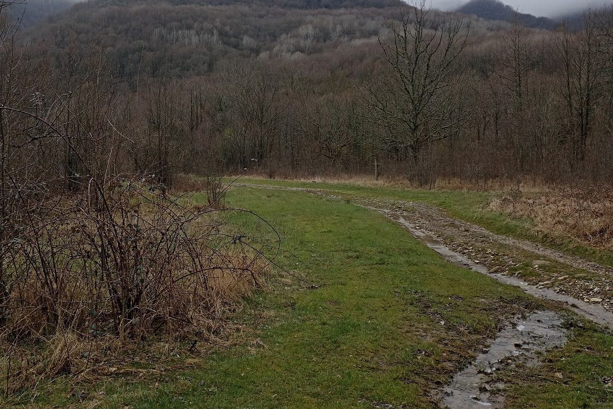 «Здесь темно, кругом один лес»: спасатели нашли потерявшуюся во время сбора грибов жительницу Кубани