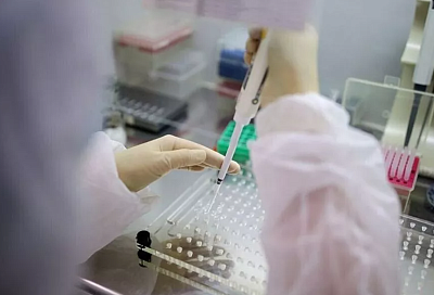 Попова заявила о риске появления в мире нового высокопатогенного вируса гриппа