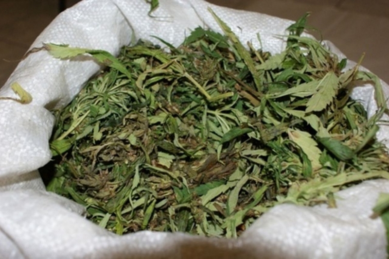У жителя Краснодарского края нашли в гараже более 4 кг марихуаны. Ему грозит 15 лет тюрьмы